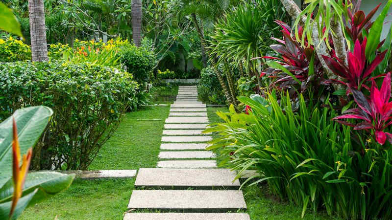 Vivaio e Garden - Home