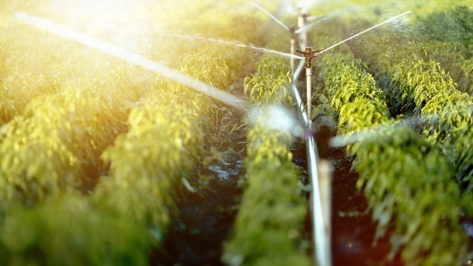 Impianto di irrigazione giardino - sistema automatizzato