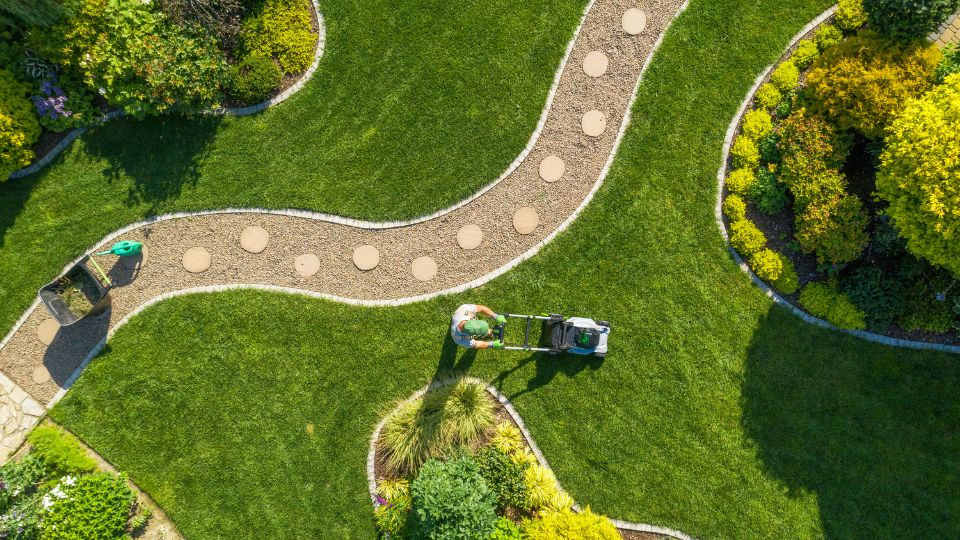 Manutenzione giardino - servizio professionale cura del verde